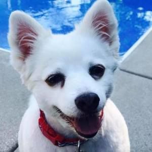 Meet your Posher, Mike